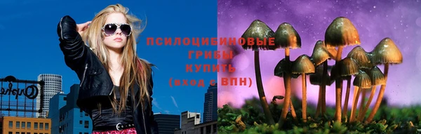spice Ладушкин
