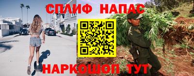 сатива Заводоуковск