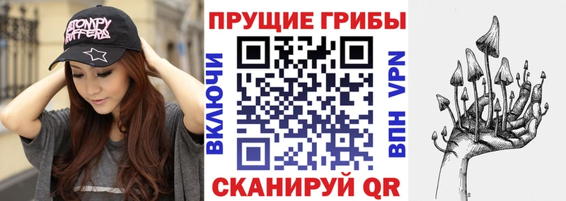 Галлюциногенные грибы Psilocybine cubensis  Чебоксары 