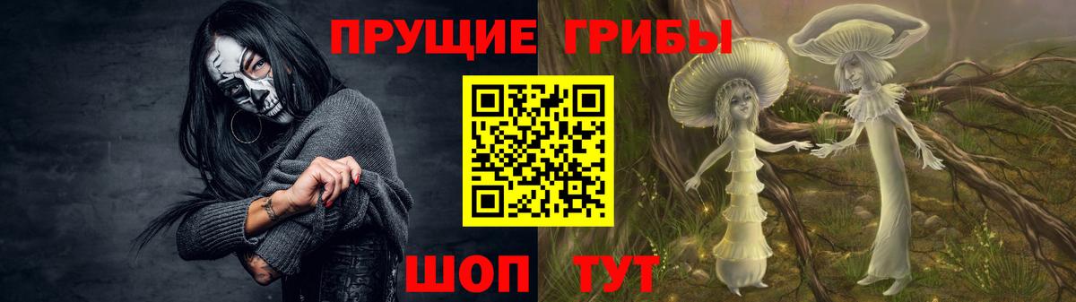 закладки  Галлюциногенные грибы прущие грибы  Вход с VPN  Чебоксары 